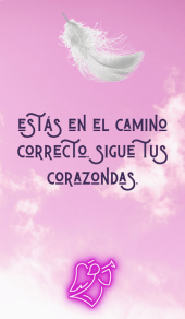 card-4