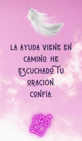card-33