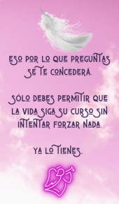 card-8
