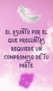 card-24