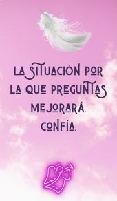 card-13