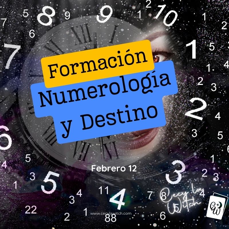 Formación de Numerología 2024